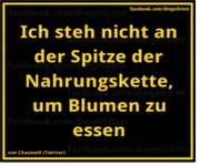 Spruch 10025