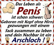 Spruch 20018