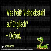 Spruch 50013